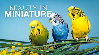 These Are The Cutest Animals You'll Ever See