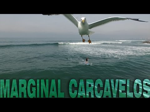 Carcavelos Marginal Lisboa Cascais phantom 3 UHD...crazy seagull