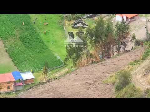 Perros Ferales matan ovejas en Provincia de Cotopaxi Saquisilí 