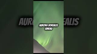 Northern Lights From Our NCL Cruise Ship #cruise #auroraborealis #travel #norwegiancruiseline