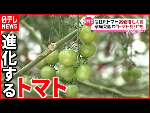 RTL新人のヤン・ホーファーとピナール・アタレーによるニュース攻勢