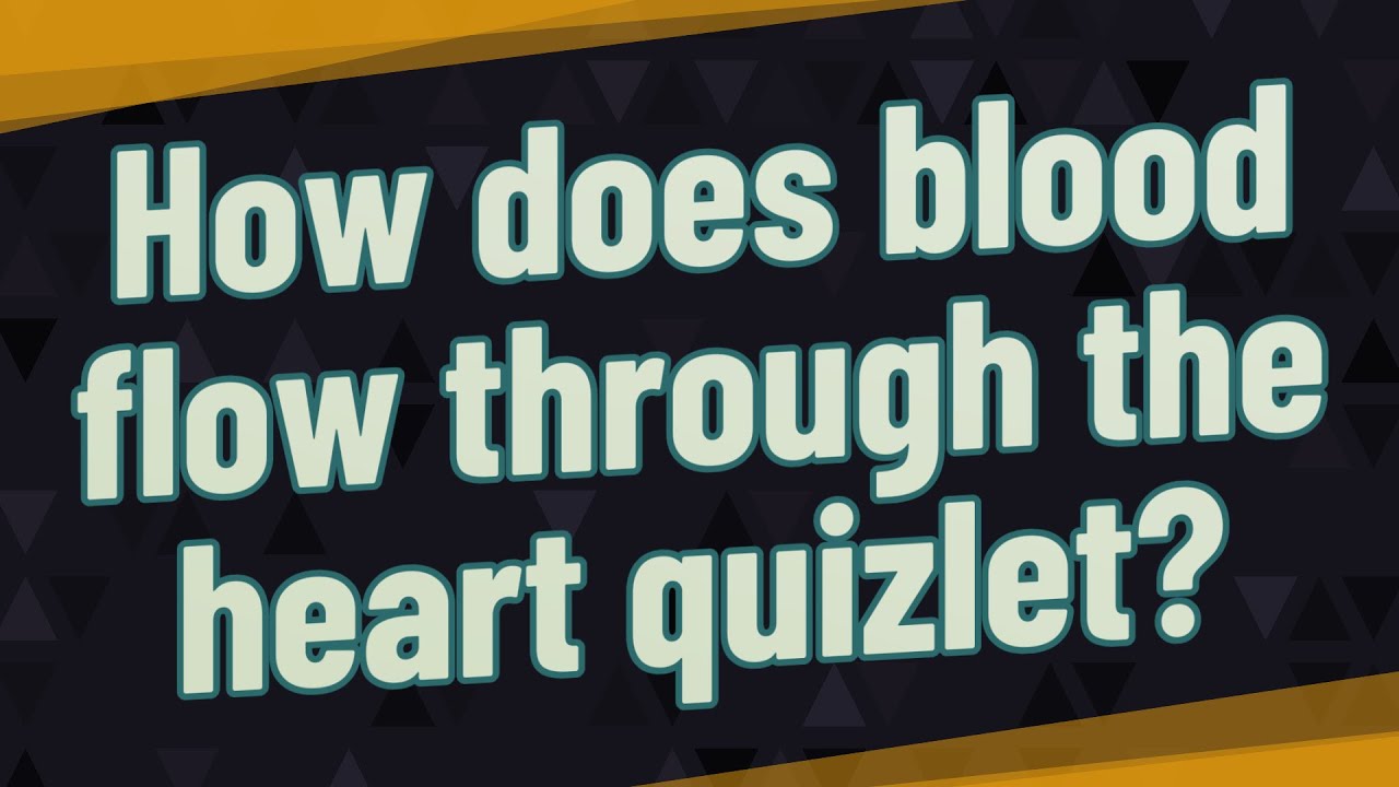 How does blood flow through the heart quizlet?