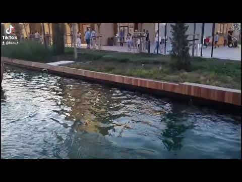 Monaldin Feat.Emma Peters