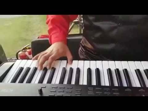 Orquesta Show Internacional T'kila - Alimaña