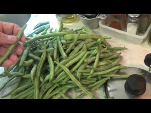 GREEN BEANS – FROM SEED TO CANNING (OAG 2016)