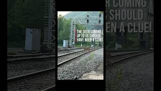 GHOSTS Found In Our Photos Of A GHOST TOWN! Early 1900’s Town Of ‘Thurmond’ West Virginia!