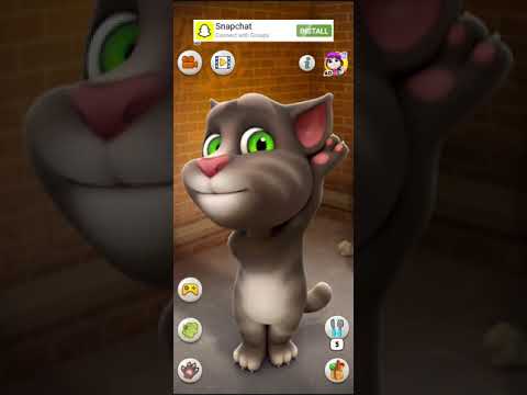 Talking Tom Cat Says " Two Hundred Ninety two-292 "#short