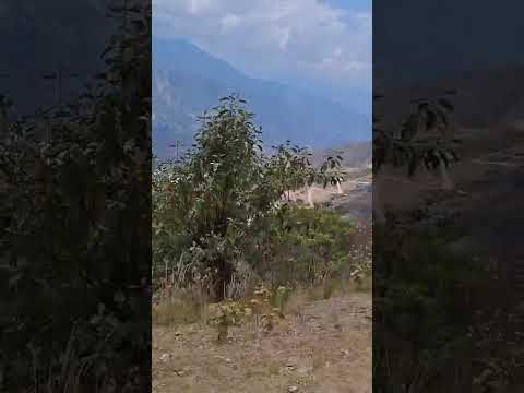Recorriendo calles de Aldeas de San Mateo Ixtatan. Huehuetenango. Guatemala