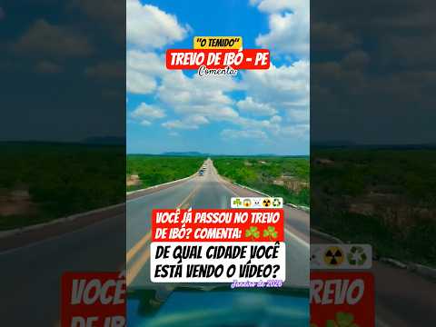 "O Temido Trevo do Ibó-PE" #pernambuco ☘️☘️☘️ #ibó #cabrobó #salgueiro #ipameri #itapetim #df #bahia