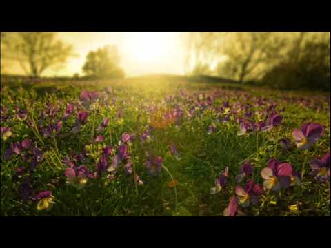 Kamil Esten - Fields of Love (Original Mix)