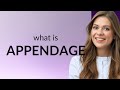 Appendage APPENDAGE Meaning