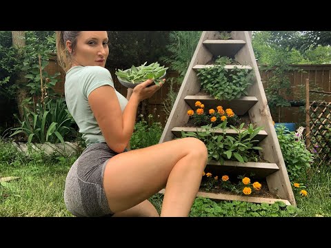How To Cut Fresh Sage, featuring My Herb Tower! I HOLLY WOLF
