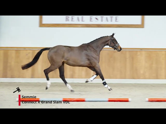 Semmie
