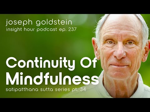 Continuity of Mindfulness with Joseph Goldstein – Insight Hour Ep. 237 – Satipatthana Sutta Pt. 34