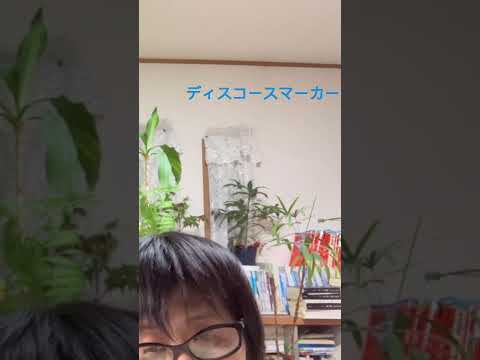 英語英文学科 #英検 #合格 への #必勝Tips #出題傾向分析 ＃英検準一級 #リスニング #5月 #英検リニューアル