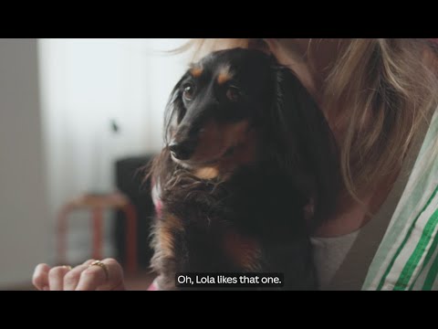 Quick design tips with the Canva team ✏️