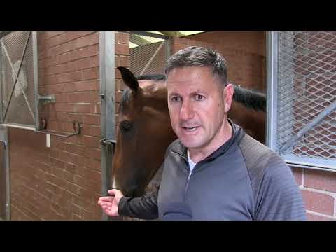 USO SAT 23RD TURF RACE  1  9