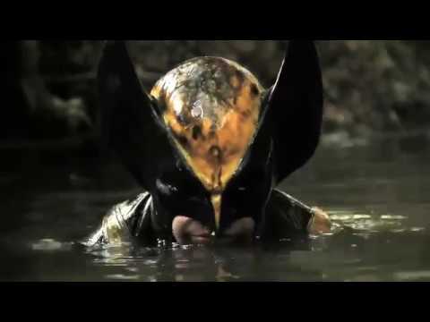 Wolverine x Predador