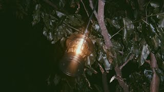 Our First Family Camp at Edna’s Beach Campsite | Calatagan Batangas 2026