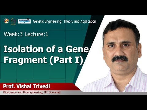 Genetic Engineering Theory and Application Intro Video