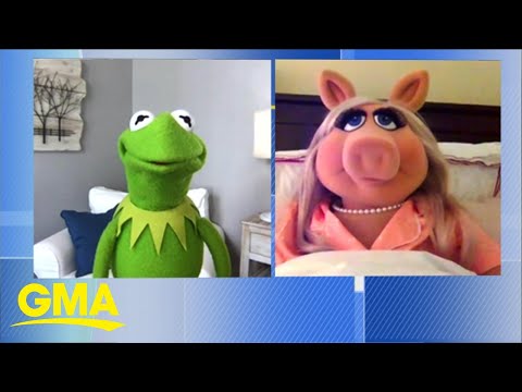 Kermit the Frog and Miss Piggy talk about their show ‘Muppets Now’ on Disney+ l GMA