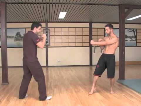 Wing Tsun KO Fighter Sihing Tanyel MWTA