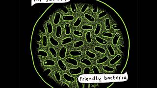 Mr Scruff - Feel Free