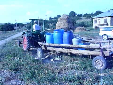 andone pavel rogoaza bacau