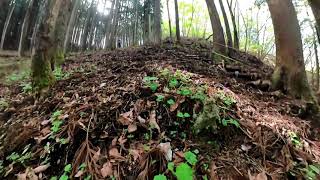 カッコウソウ群生地の風景・鳴神山