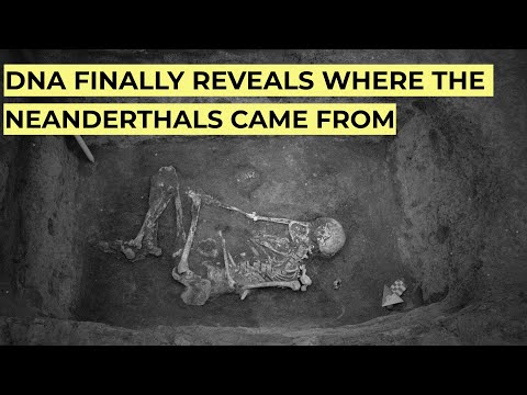 Ancient DNA Finally Reveals the REAL Origin of the Neanderthals