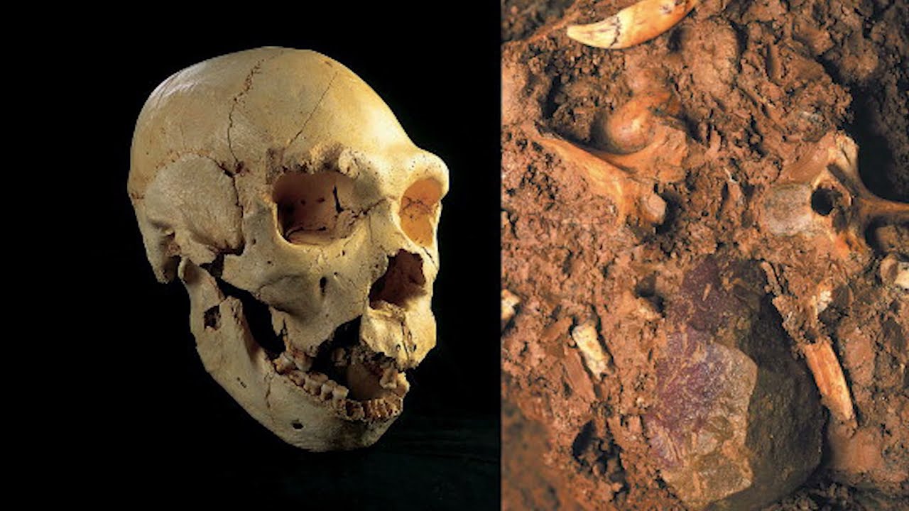 Ancient DNA Finally Reveals the REAL Origin of the Neanderthals
