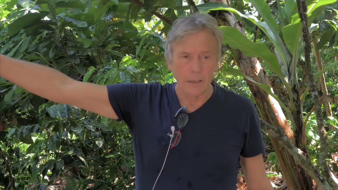 ¿Por qué la estratificación de árboles es clave en la Agroforestería Dinámica?