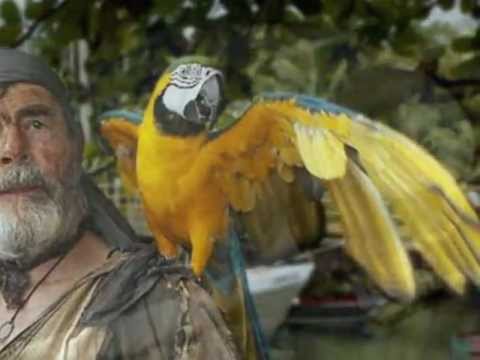 Migration video