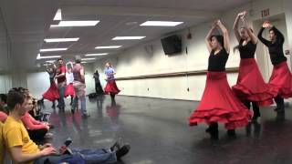 Puss In Boots Paso Doble