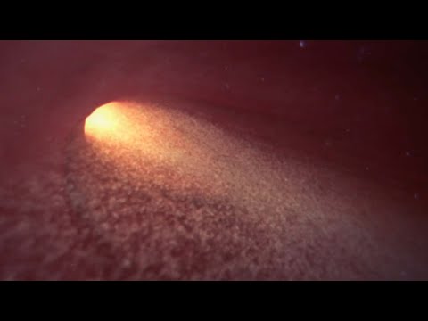 ¿Qué ocurre con los espermatozoides en el útero y las trompas de Falopio de la mujer?