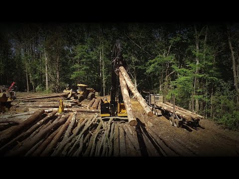 The Cat® FM528 General Forestry (GF)/FM528 Log Loader (LL) Forest Machine is a versatile forestry excavator engineered for the lumberjack of all trades. From land clearing to fire clean-up, chipper + grinder loading, mulching, processing, and more, this adaptable forest machine is ready to go to work for your fleet. Built for the operator, it is equipped with the Next Gen side-entry forestry cab for premium visibility and optimum protection.