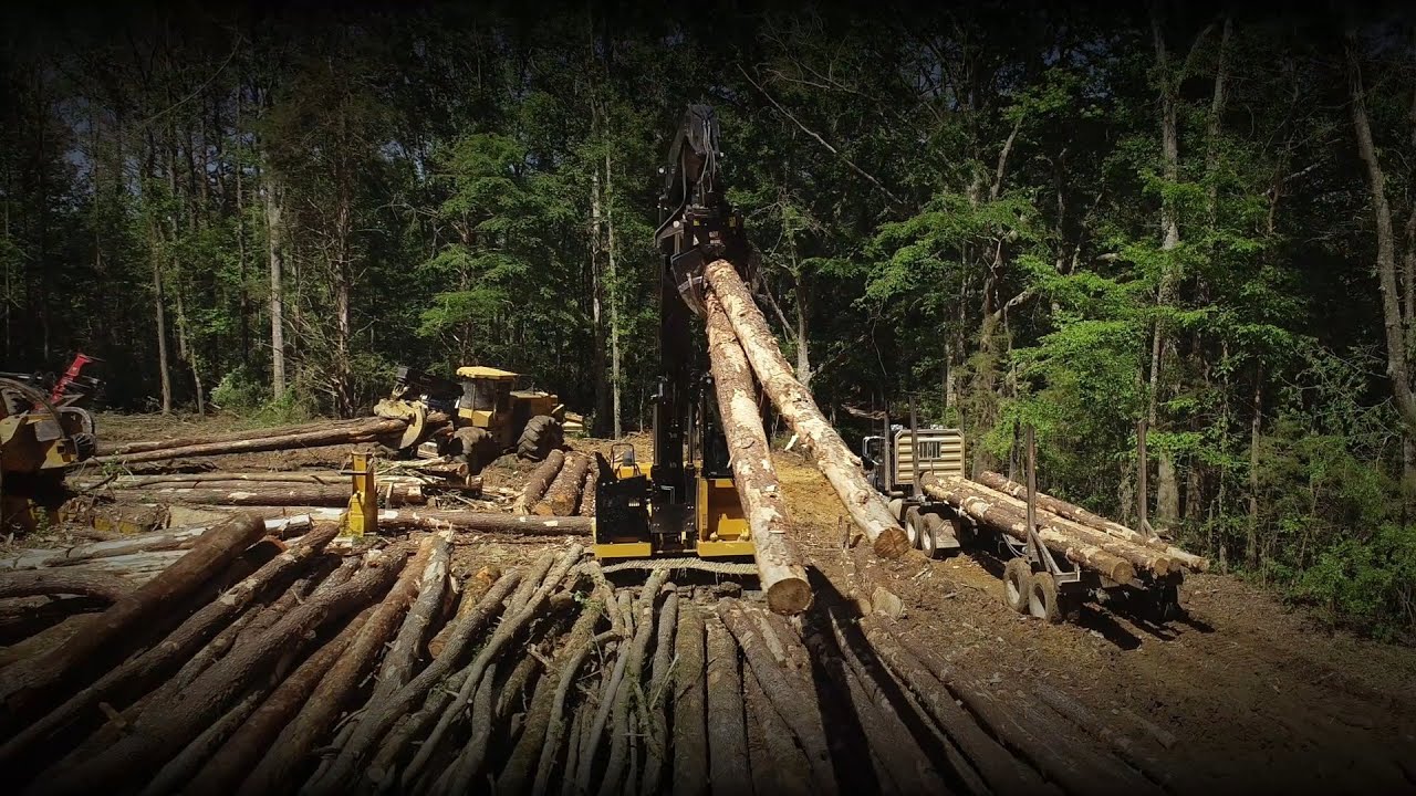 Meet the Cat® FM528 GF/FM528 LL Forest Machine