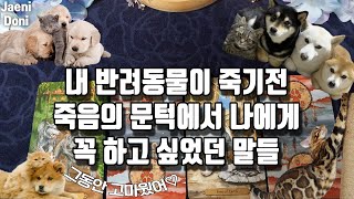 유튜브 썸네일