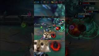POV: your support save your ass and you always got lucky #lolmobilewildrift #catmemes #wildlife