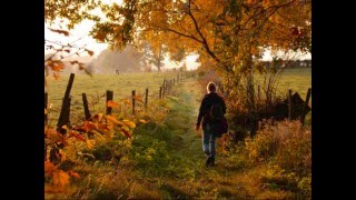 Bart Herman - Alleen Vooruit