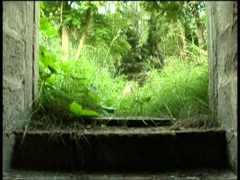 27F049 ostatni mieszkaniec stolicy świata