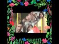Tashan Ishp Sajna Ve