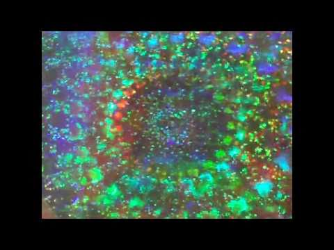 HoloCircle view with the Holographic lens!