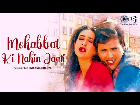 Mohabbat Ki Nahin Jaati - Lofi Mix | Hero No.1 | Govinda, Karishma | Udit Narayan, Sadhana Sargam