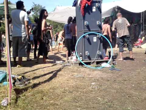 Psycrowdelica 2010