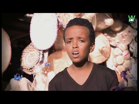 WAKAtv - Siem Siyum - Adey | ኣደይ ብድም. ሴም ስዩም - New Eritrean Music 2019
