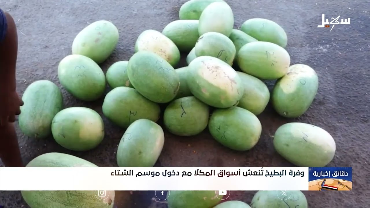 وفرة البطيخ تنعش أسواق المكلا