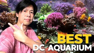 Re-scaping 135g / BEST Aquarium in DC!! / Fragging SPS & Trading!