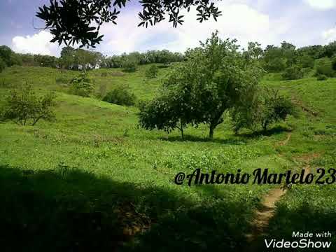 Los sabanales  - Super Banda de Colomboy / Córdoba.