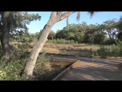 featured video thumbnail